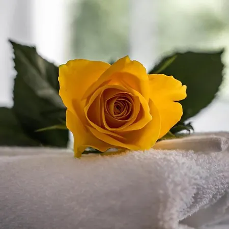 Guest house Scotia House - Beautifully Presented Harrogate
