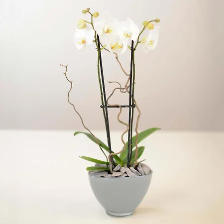 게스트하우스 Scotia House - Beautifully Presented 해러게이트