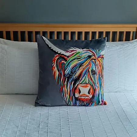 招待所 Scotia House - Beautifully Presented 4*